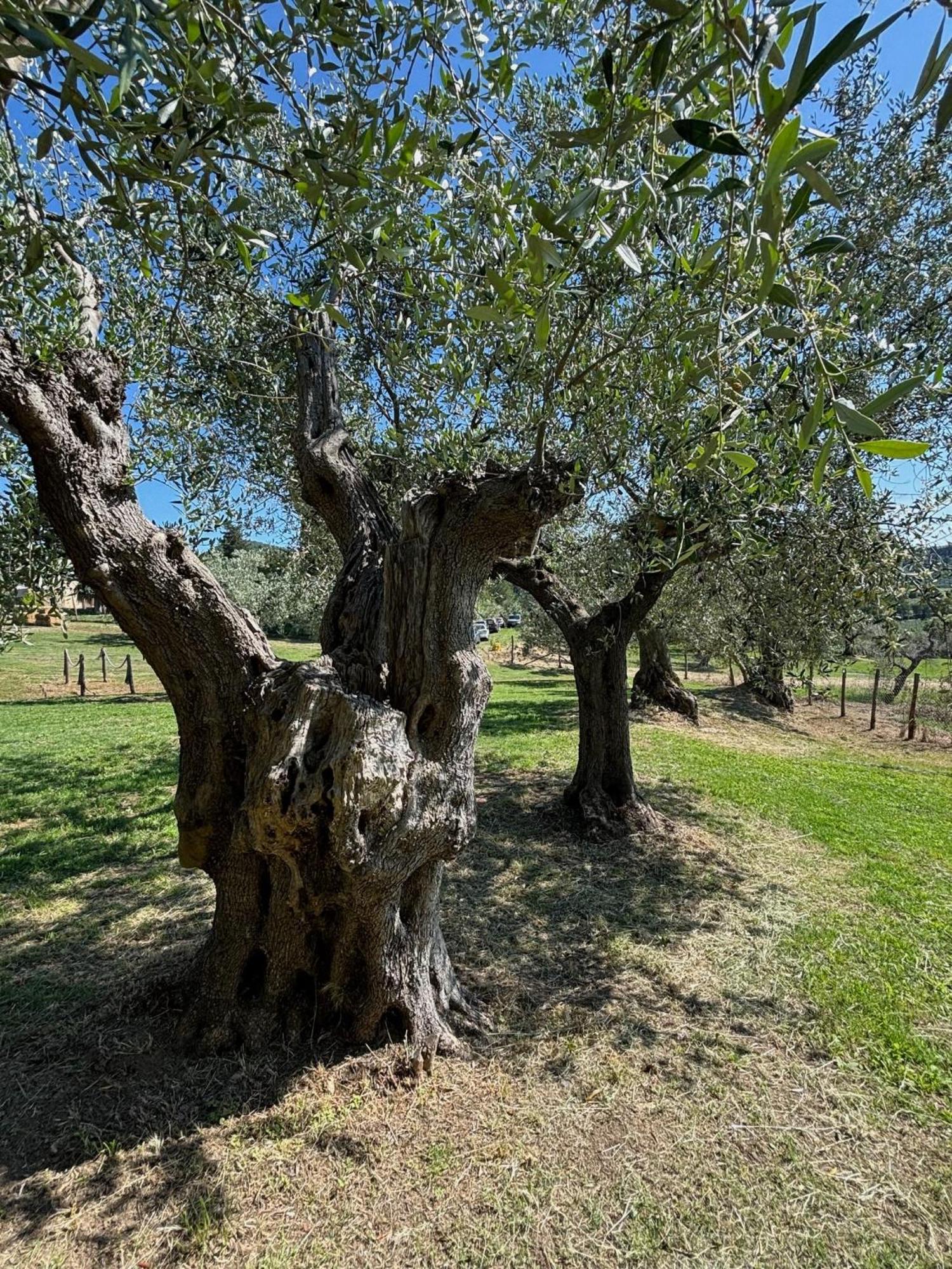 Relais Dei Molini - Dei Molini 2*